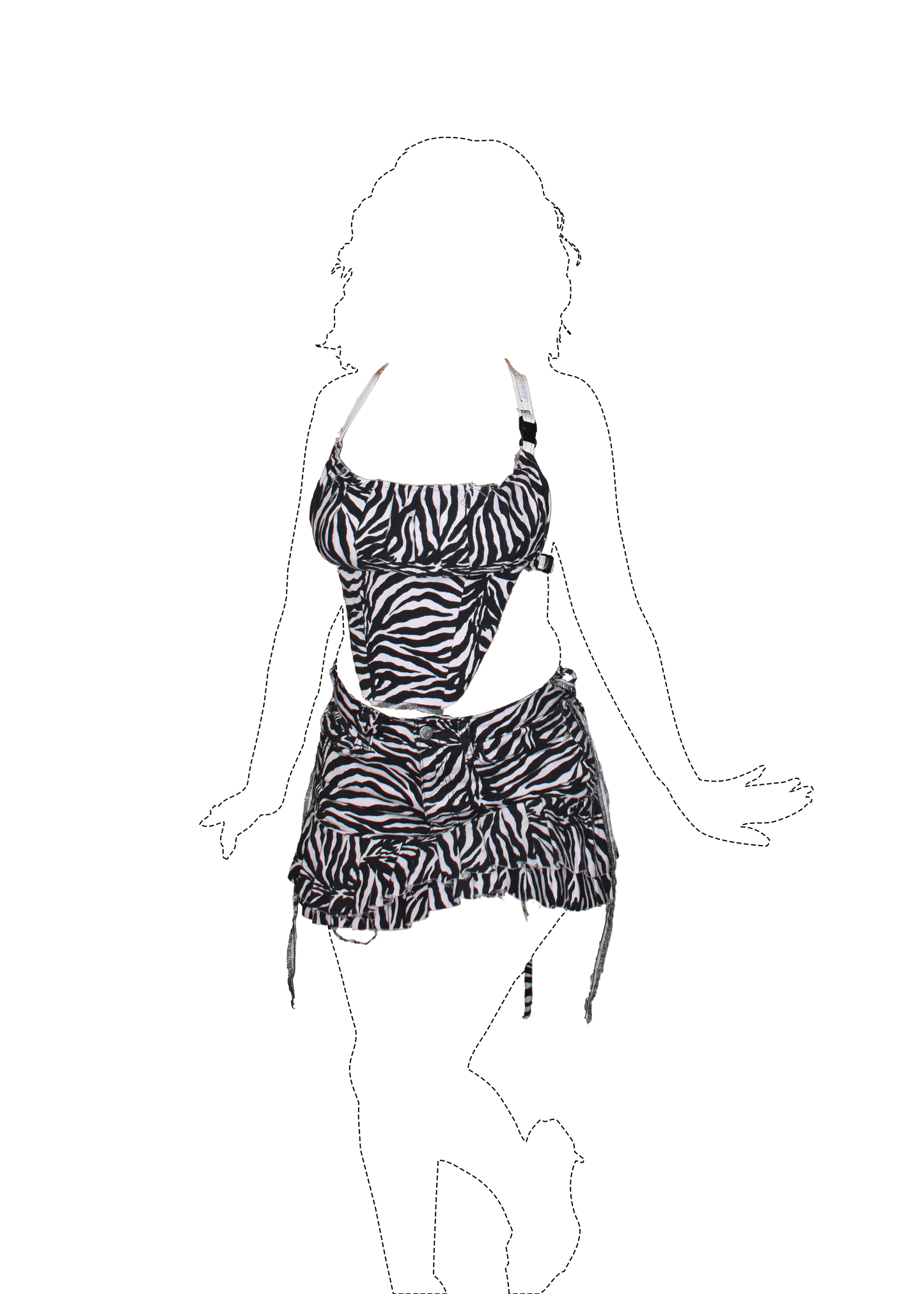Zebra Set