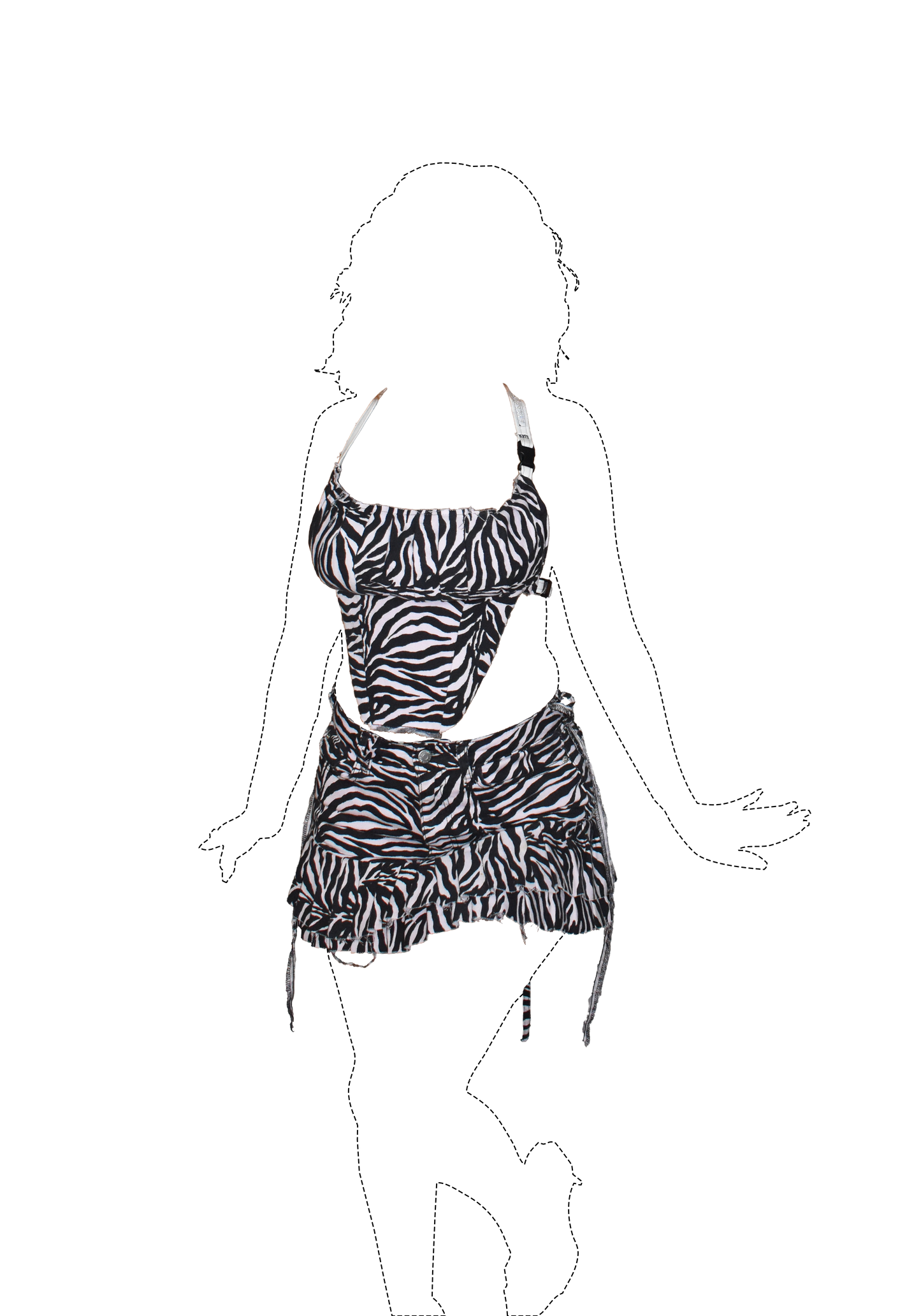 Zebra Set