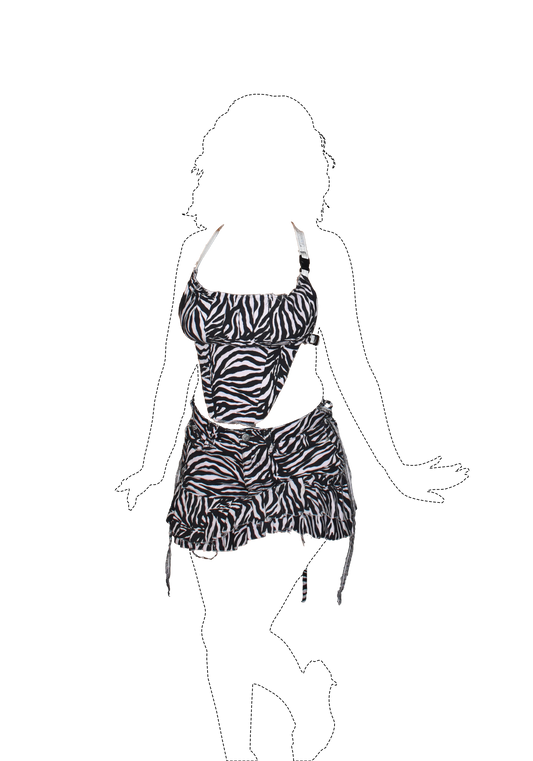 Zebra Set